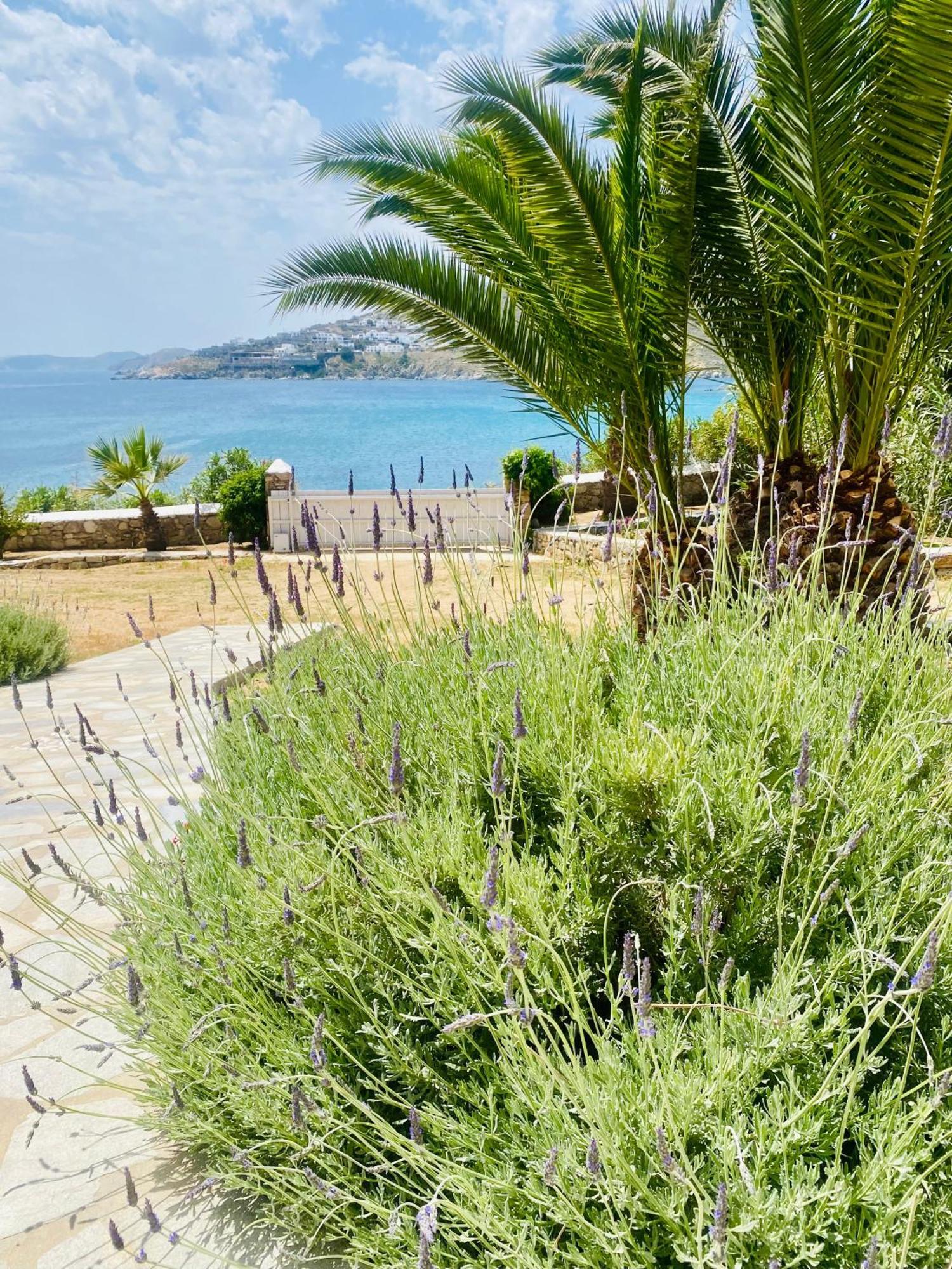 Only Yours , Mykonos * Paraga (Mykonos)